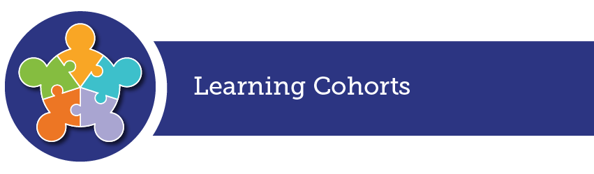 DISO Learning Cohorts Banner