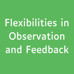 Flexibilities in Observation and Feedback button, green