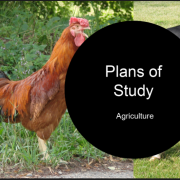 photo of chicken introducing CTE Plans of Study